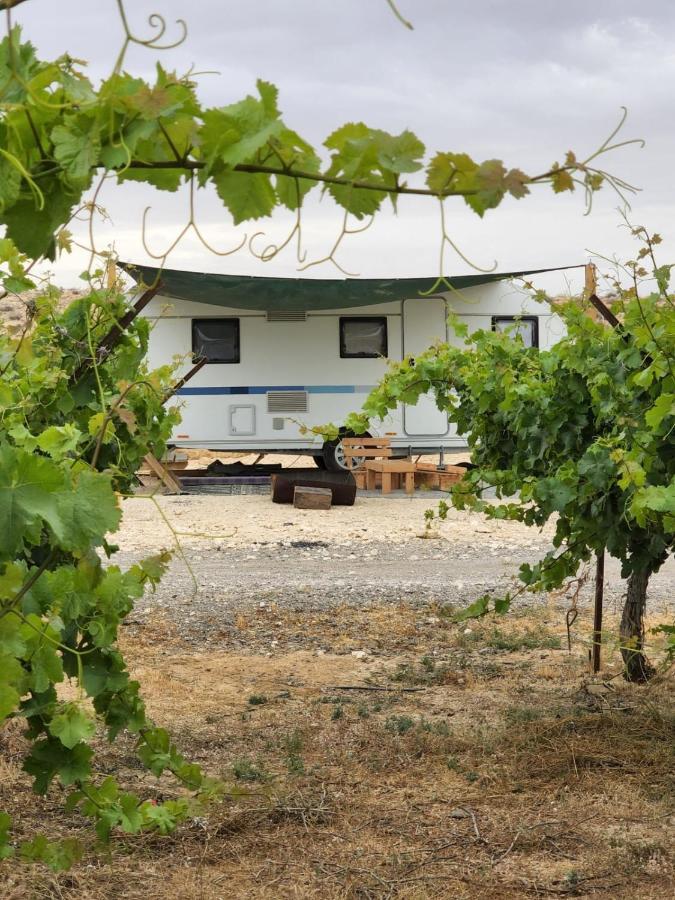 Itav Bateva Caravans - ייטב בטבע קרוואנים Micpe Ramon Zewnętrze zdjęcie
